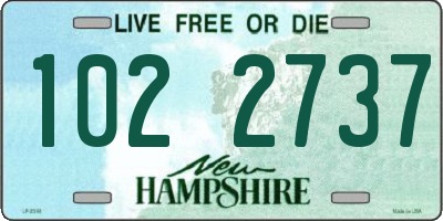 NH license plate 1022737