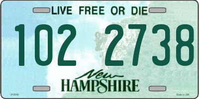 NH license plate 1022738