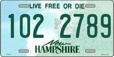NH license plate 1022789