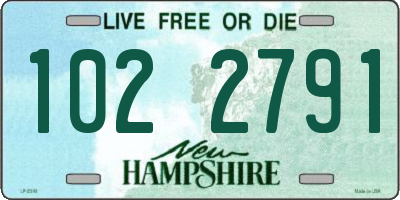 NH license plate 1022791