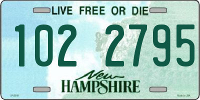 NH license plate 1022795