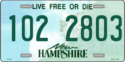 NH license plate 1022803