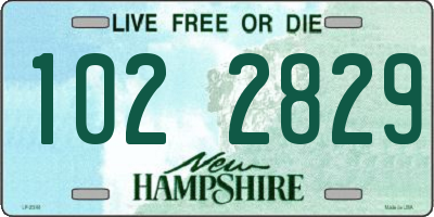 NH license plate 1022829