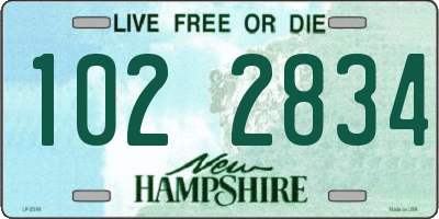 NH license plate 1022834