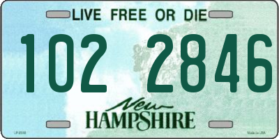 NH license plate 1022846