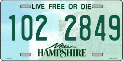 NH license plate 1022849