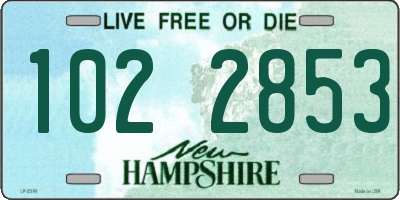 NH license plate 1022853