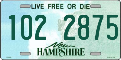NH license plate 1022875