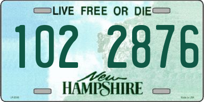 NH license plate 1022876