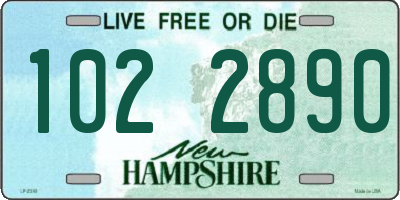 NH license plate 1022890