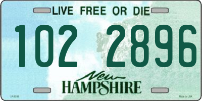 NH license plate 1022896