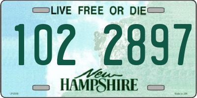 NH license plate 1022897