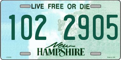 NH license plate 1022905