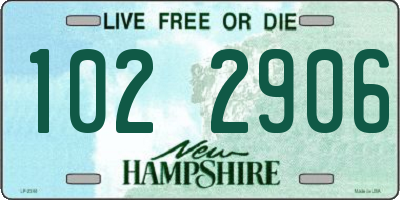 NH license plate 1022906