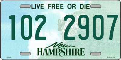 NH license plate 1022907