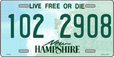 NH license plate 1022908