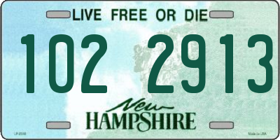 NH license plate 1022913