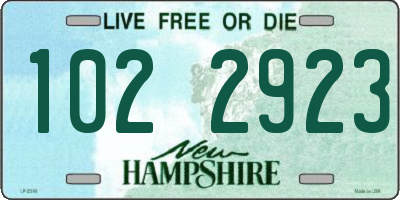 NH license plate 1022923
