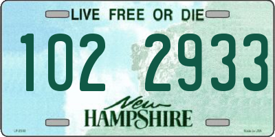 NH license plate 1022933