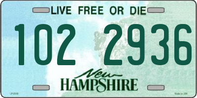 NH license plate 1022936