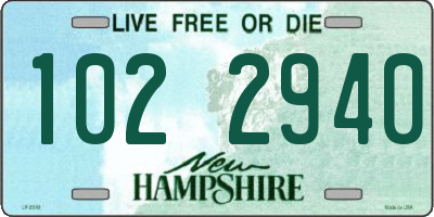 NH license plate 1022940