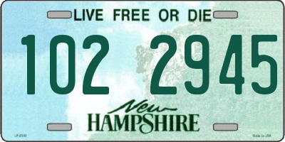 NH license plate 1022945