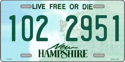 NH license plate 1022951
