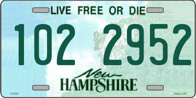 NH license plate 1022952