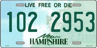 NH license plate 1022953