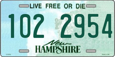 NH license plate 1022954