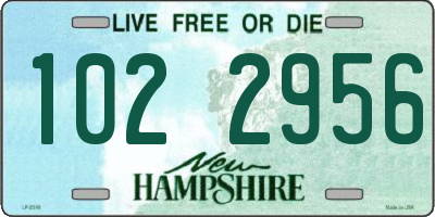 NH license plate 1022956
