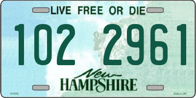 NH license plate 1022961
