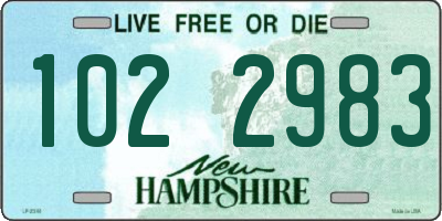 NH license plate 1022983