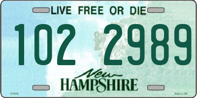 NH license plate 1022989