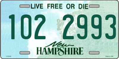 NH license plate 1022993