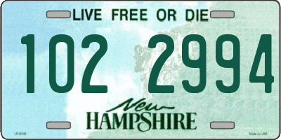 NH license plate 1022994