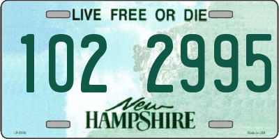 NH license plate 1022995