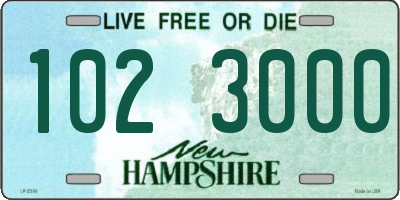 NH license plate 1023000