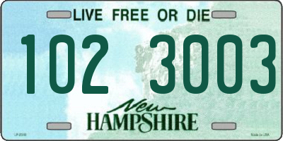 NH license plate 1023003