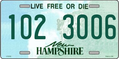 NH license plate 1023006