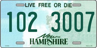 NH license plate 1023007