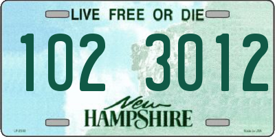 NH license plate 1023012