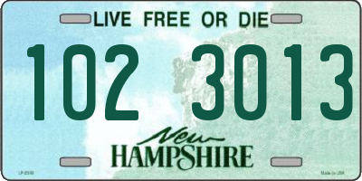 NH license plate 1023013