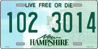 NH license plate 1023014