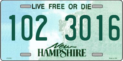 NH license plate 1023016