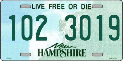 NH license plate 1023019