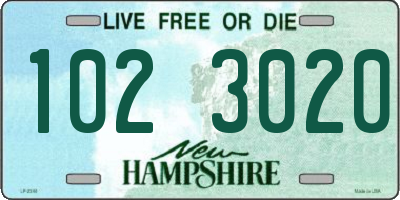 NH license plate 1023020