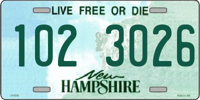 NH license plate 1023026