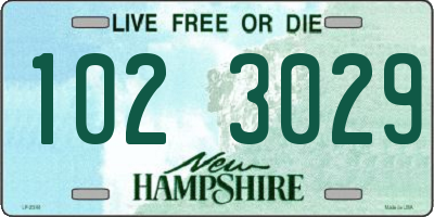 NH license plate 1023029