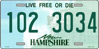 NH license plate 1023034
